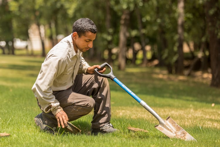 Irrigation System Maintenance & Repair Flower Mound, Highland Village